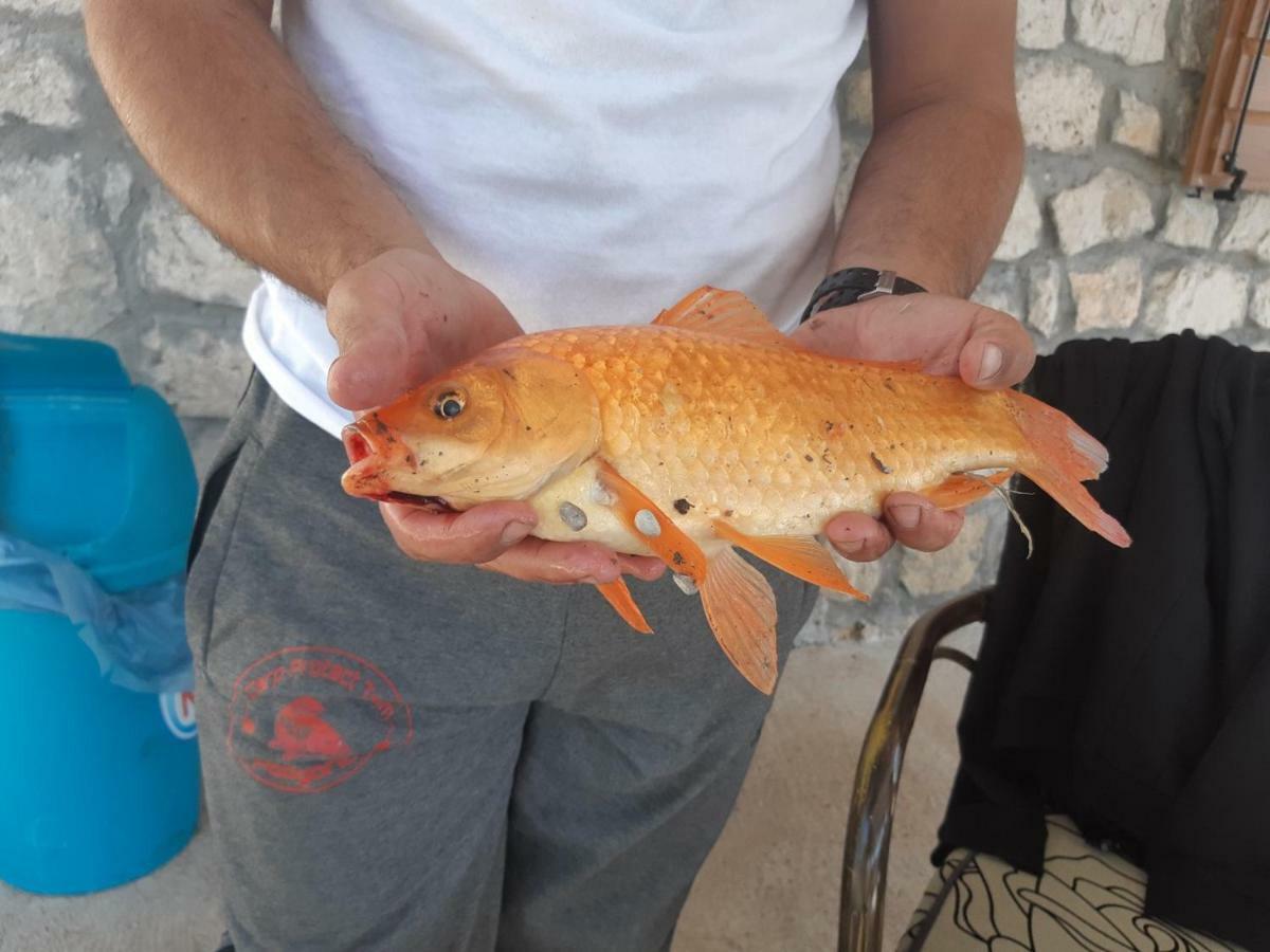 Suncane Terase Karuc Esterno foto